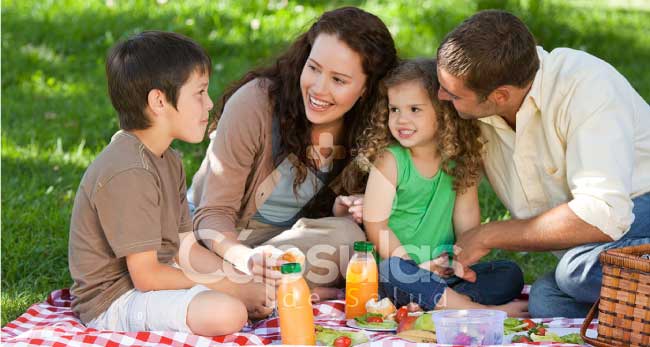 Picnic saludable