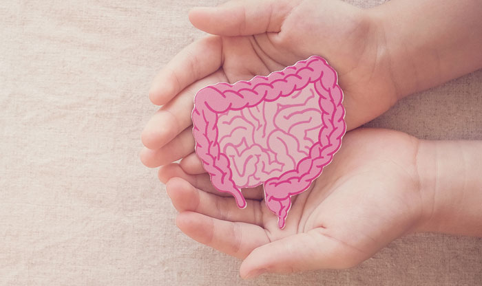 Consejos para obtener/mantener nuestra salud digestiva