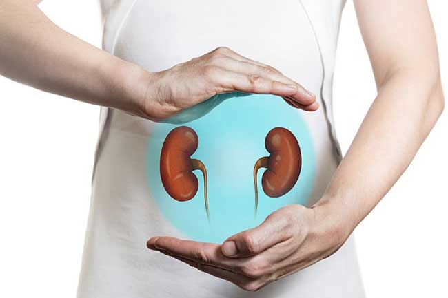 Insuficiencia Renal