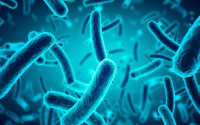 Difteria
